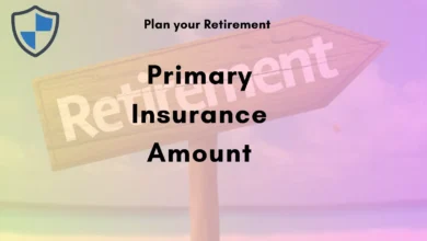 primary-insurance-amount 1